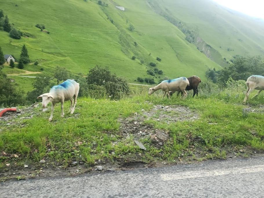 생라리술랑 Vue Panoramique Sur Les Pyrenees 아파트 외부 사진